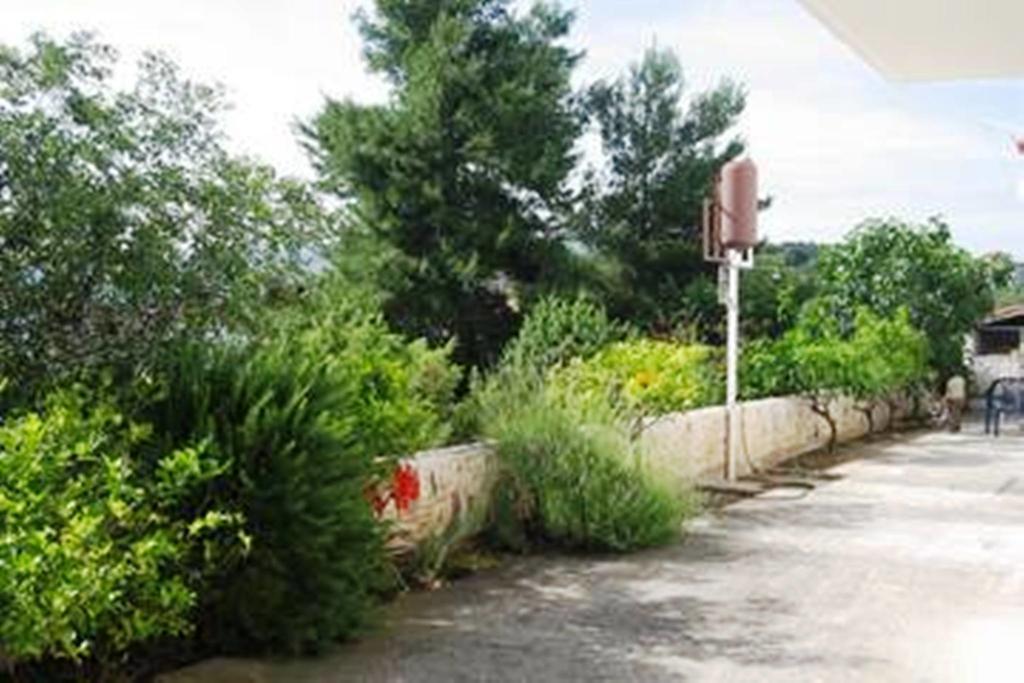 Ljiljana Apartment Okrug Gornji Oda fotoğraf